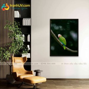 Tranh Vẹt Xanh - DV0010