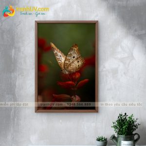 Tranh Kết Nối Dịu Êm – DV0013