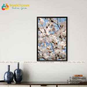 Tranh Nắng Xuân Trên Cánh Mộc Lan - H0022