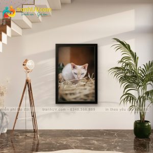 Tranh Chú Mèo Nhỏ Tinh Nghịch - DV0037